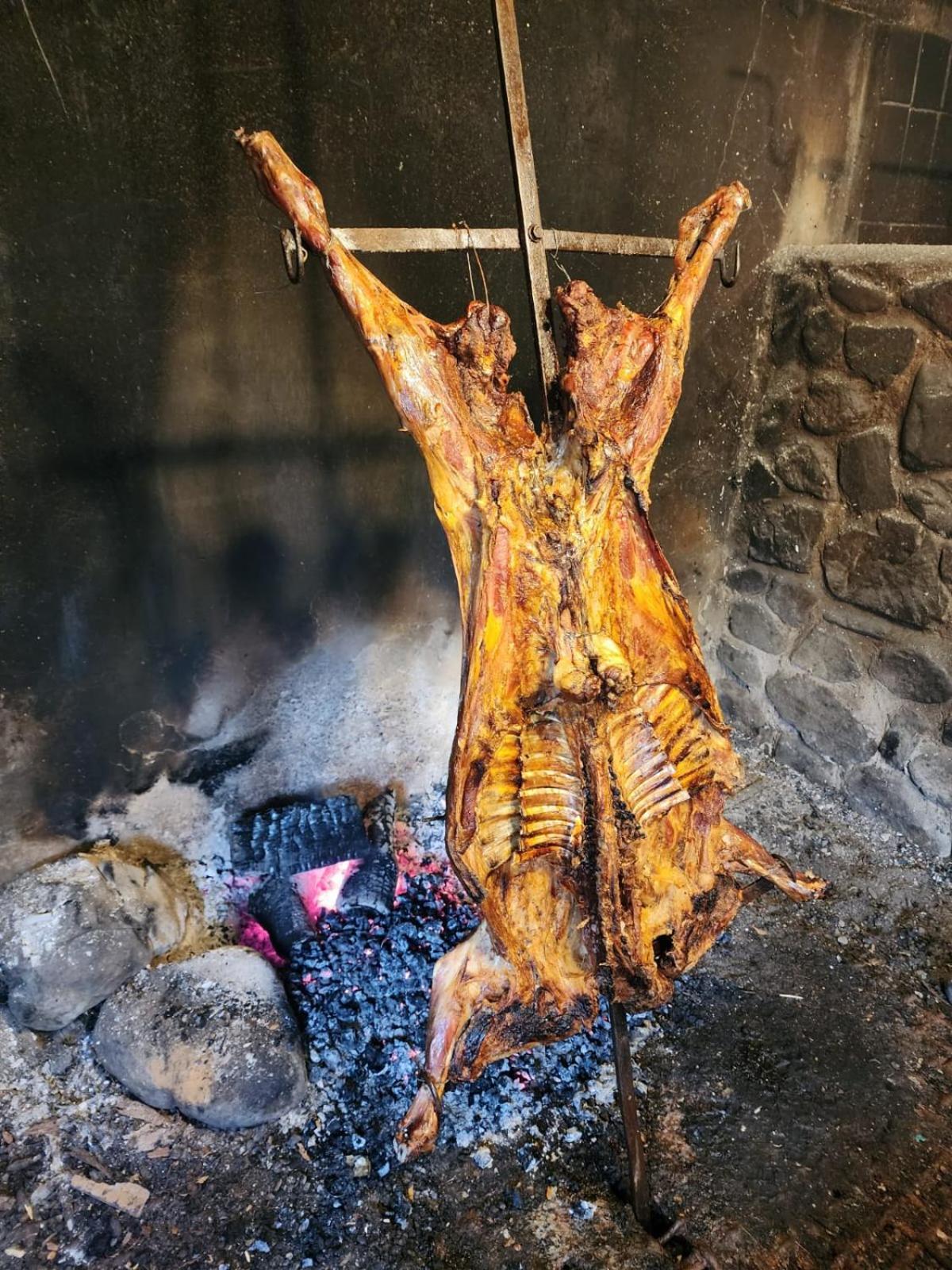 El Pangue Alojamento de Turismo Selvagem *